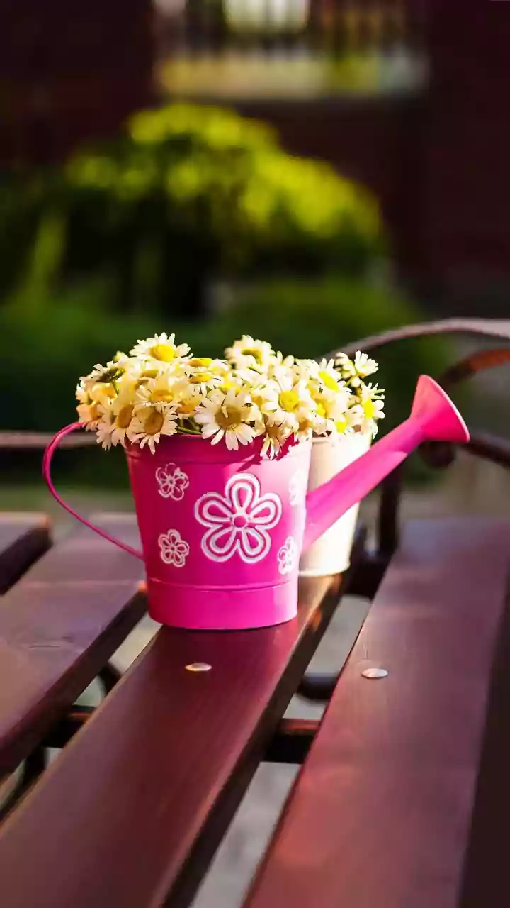 Indian Balcony Gardeners: Adjust Your Watering Routine For Rain