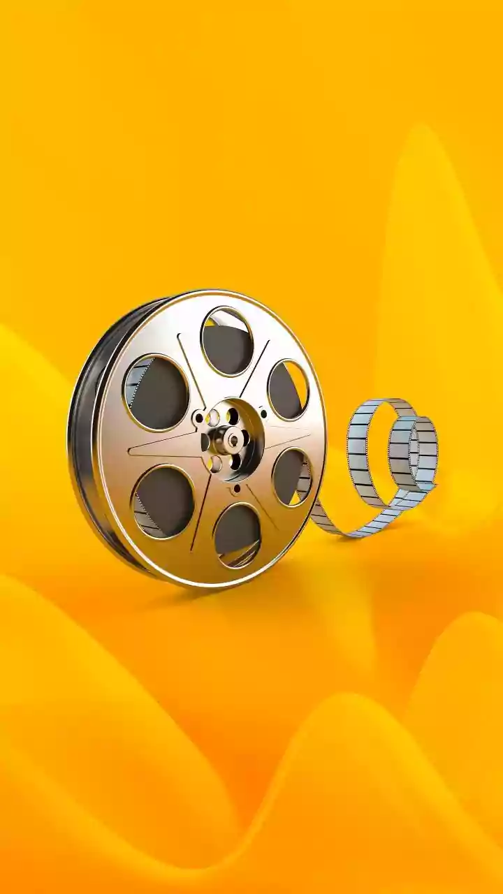 Border 2: Box Office Soaring High in India!