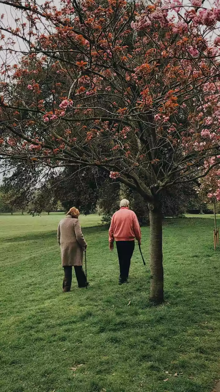 7 hábitos para uma vida mais feliz após os 60 anos