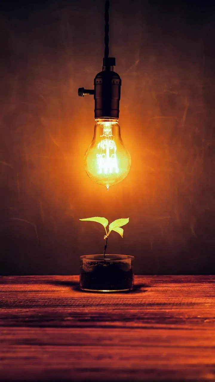 Beat Burnout: 5 Essential Strategies for Revitalizing Your Energy