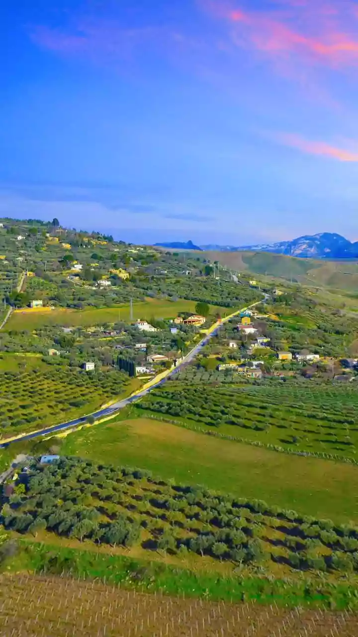 Mediterranean Diet 2.0: An Updated Blueprint for Enhanced Longevity and Well-being