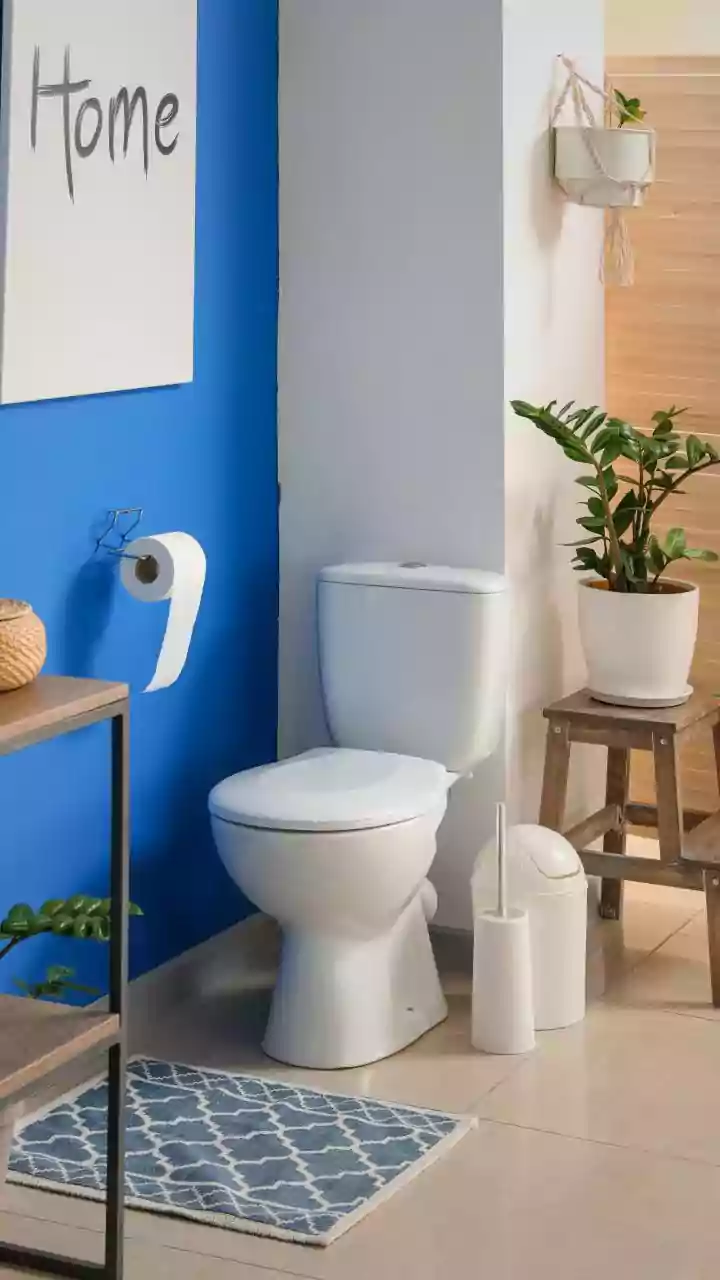 Por que é importante limpar o vaso sanitário e como fazê-lo, segundo especialistas?