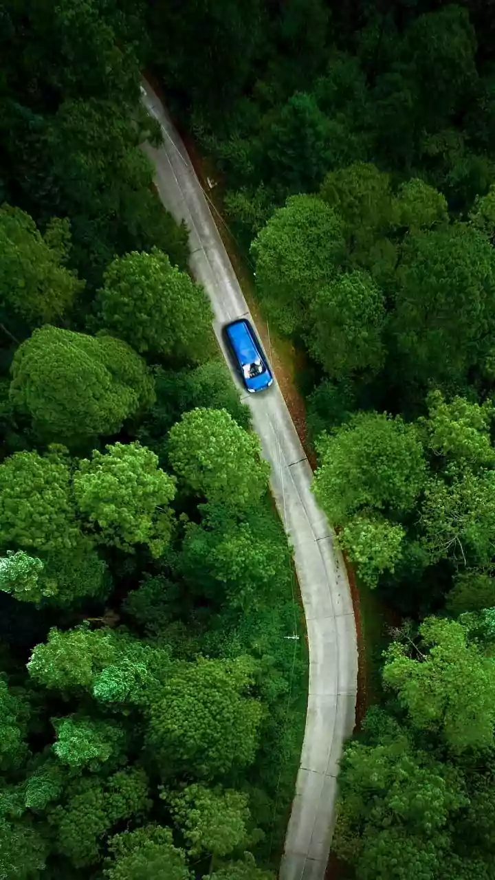 Monsoon Road Trip Guide: What Drivers Should Check Before Heading To The Hills
