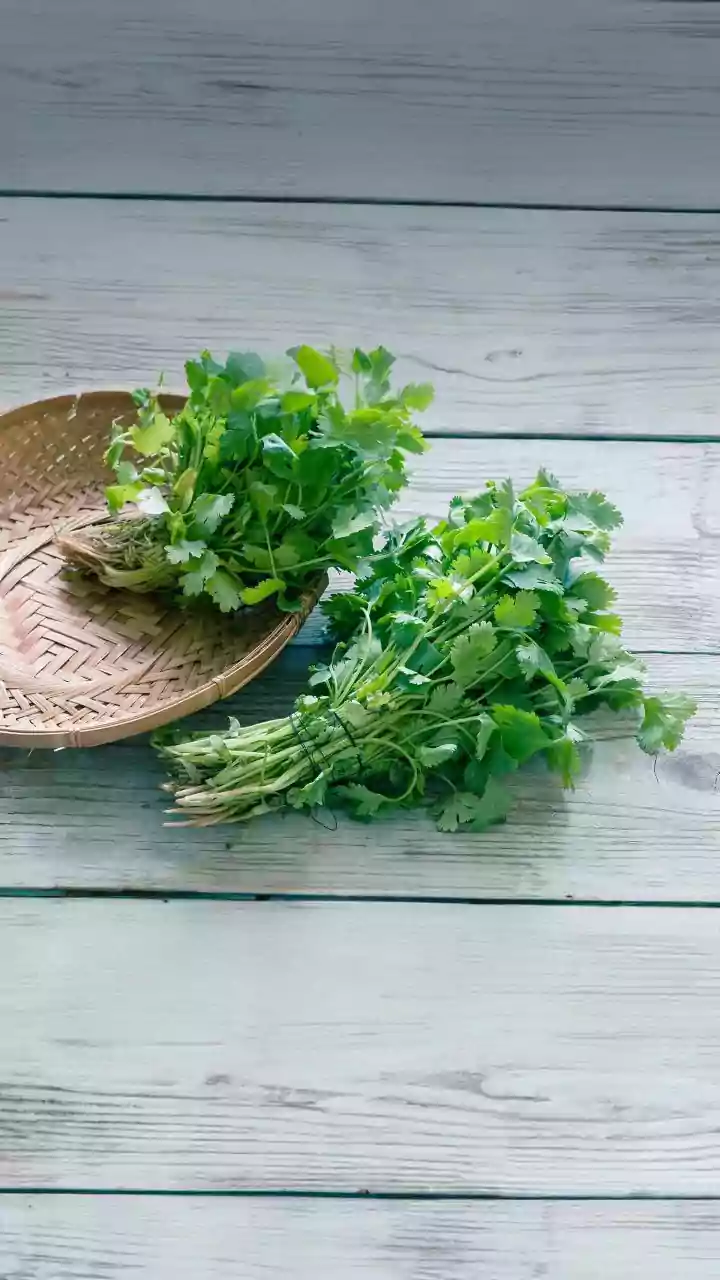 How to use coriander stems in cooking