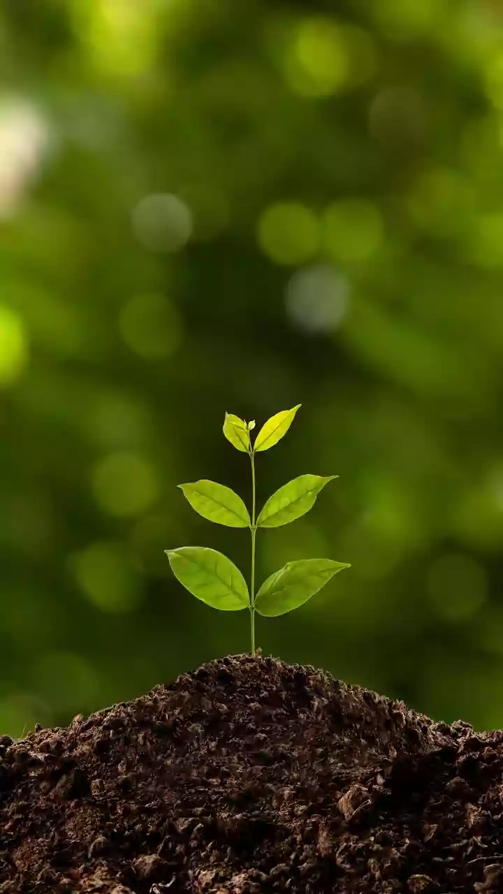 Understanding Unexpected Animals Helping Forests Regenerate with the 186-Species Seed-Dispersal Study