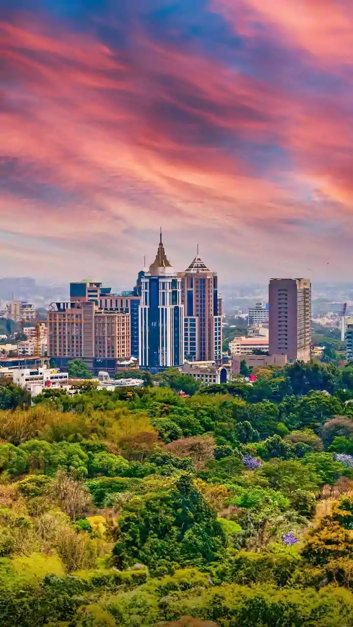 Gen Z Overtakes Millennials As India's Leading Crypto Investors: Report