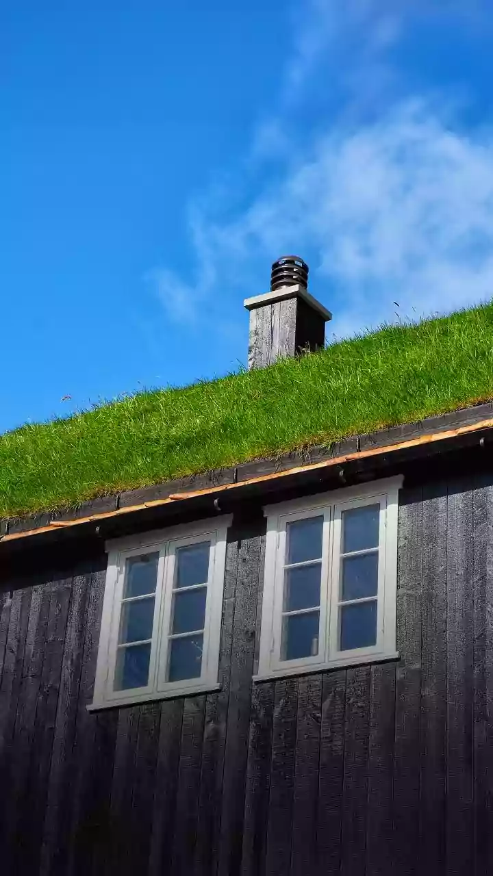 Telhado verde: como funciona a cobertura sustentável que ajuda a refrescar a casa