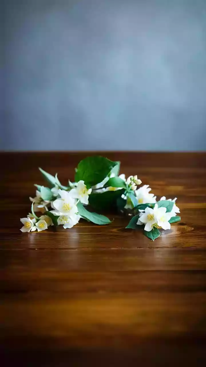 Night-Blooming Jasmine Projects Trend For Young Weekend Plant Parents