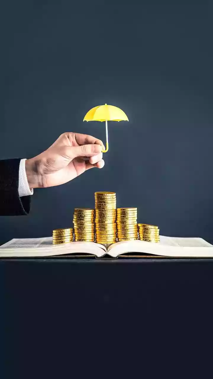 Domestic Pension Funds' Equity Investments Soar