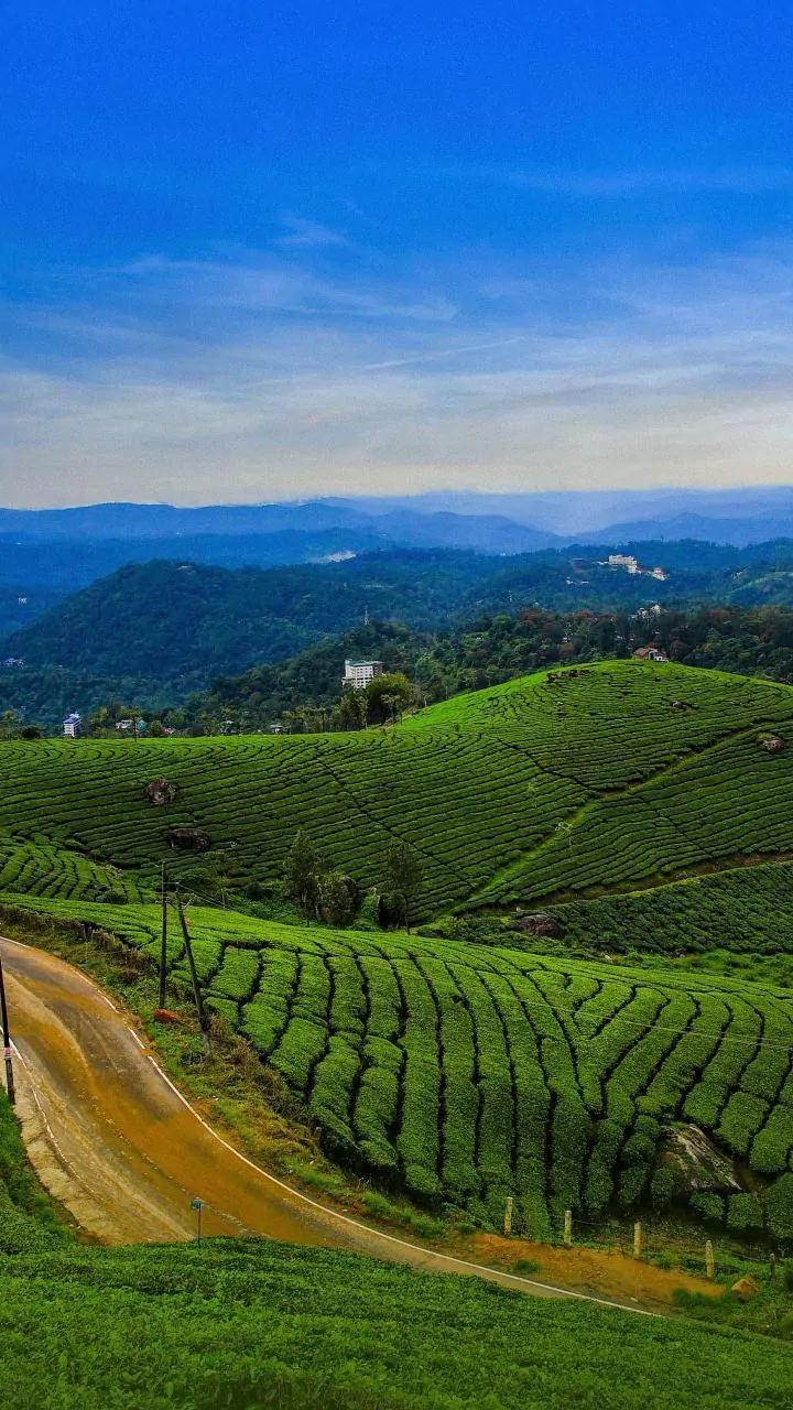 How Slow Travellers Are Turning Coorg Coffee Estates Into Popular Off Season Monsoon Destinations
