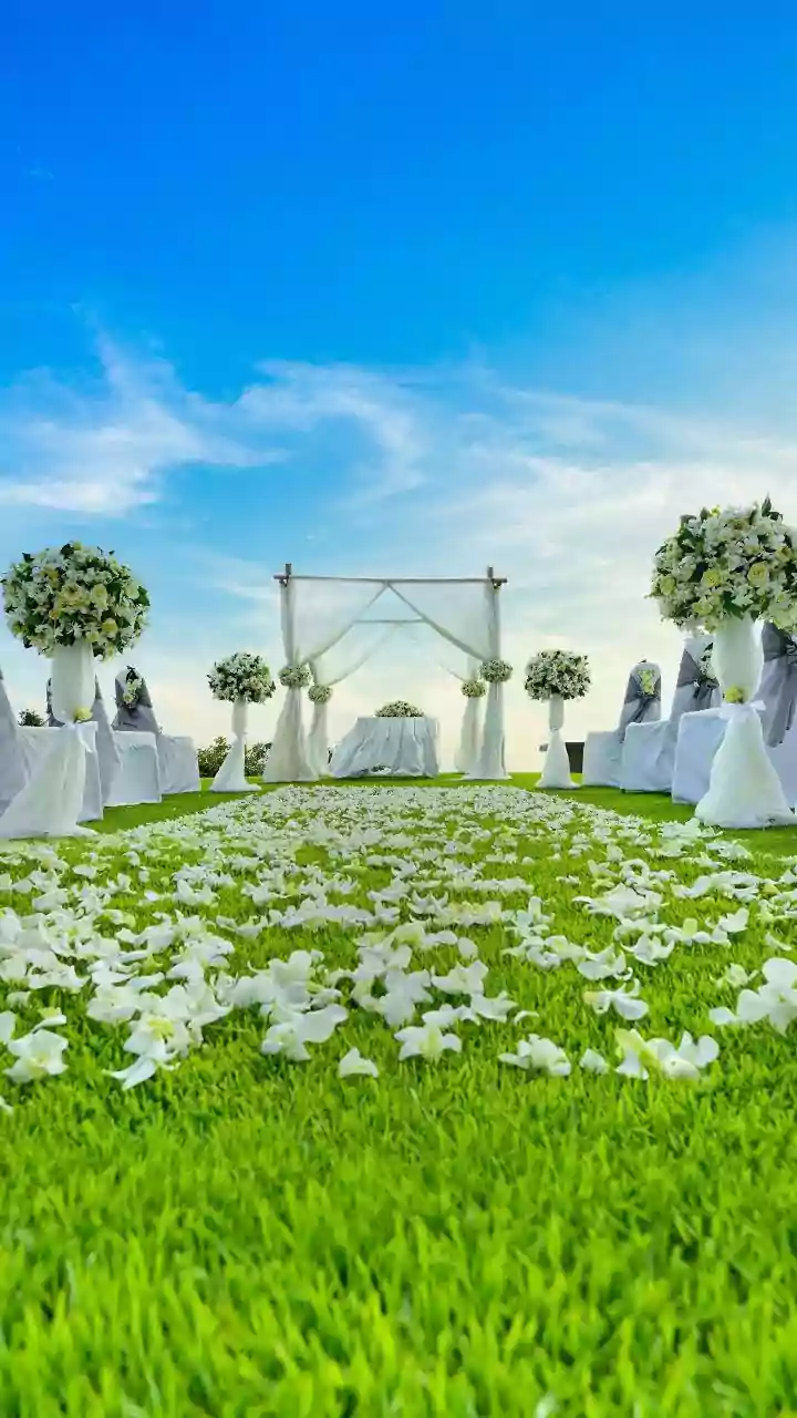 Top 5 AI Tools to Effortlessly Plan Your Dream Wedding in 2026