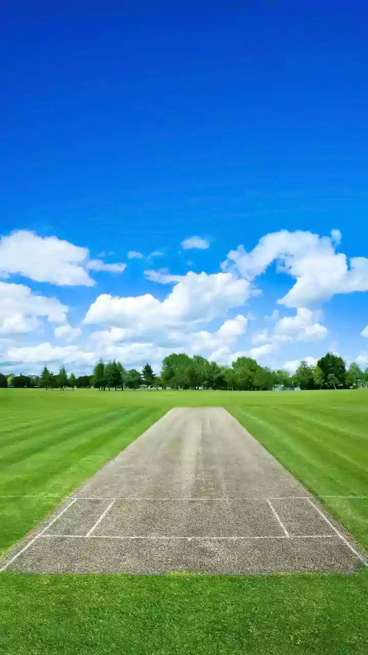 How are cricket pitches different across the world?