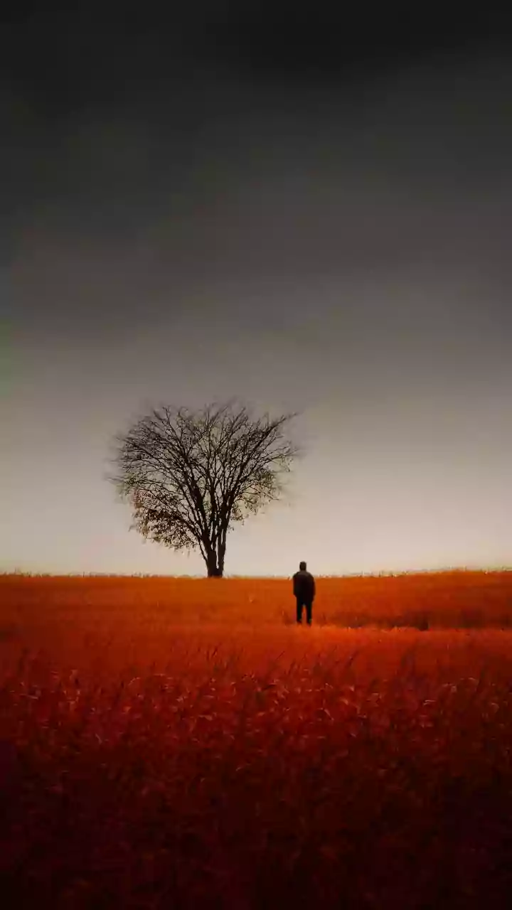 Loneliness: Navigating the Inner World