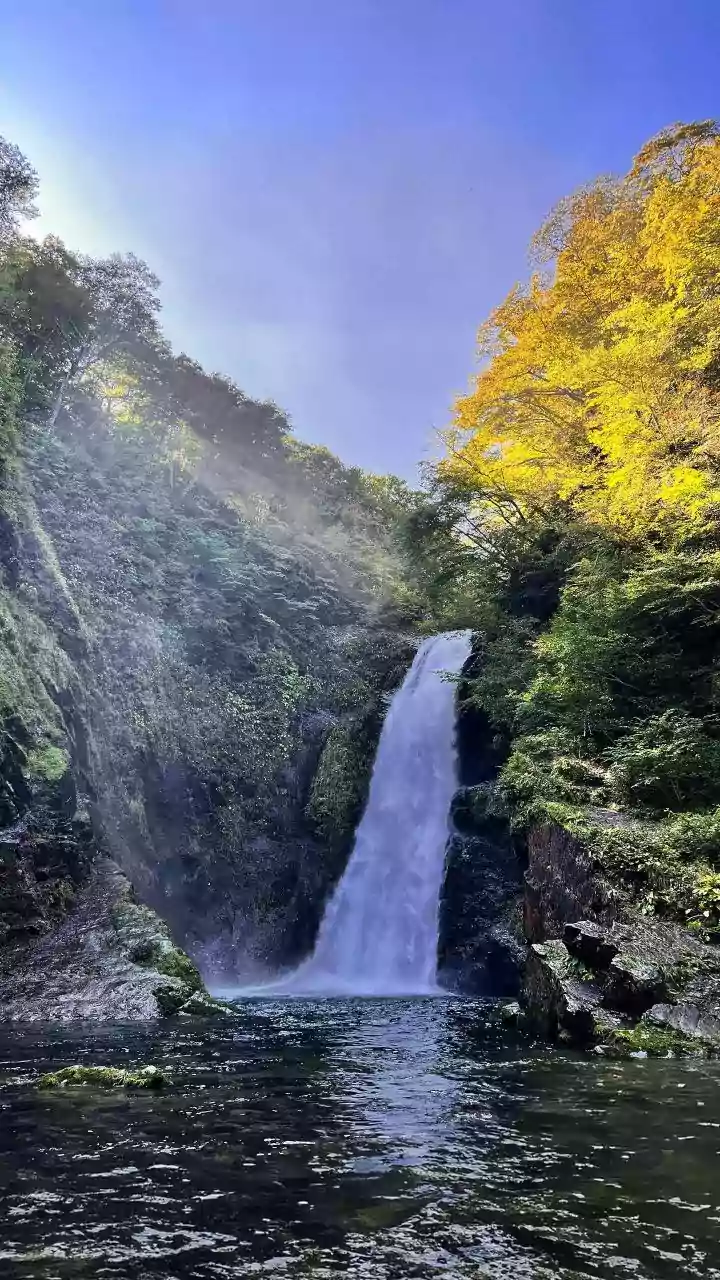 Maharashtra’s Scenic Waterfalls Return As Must-Visit Monsoon Destinations