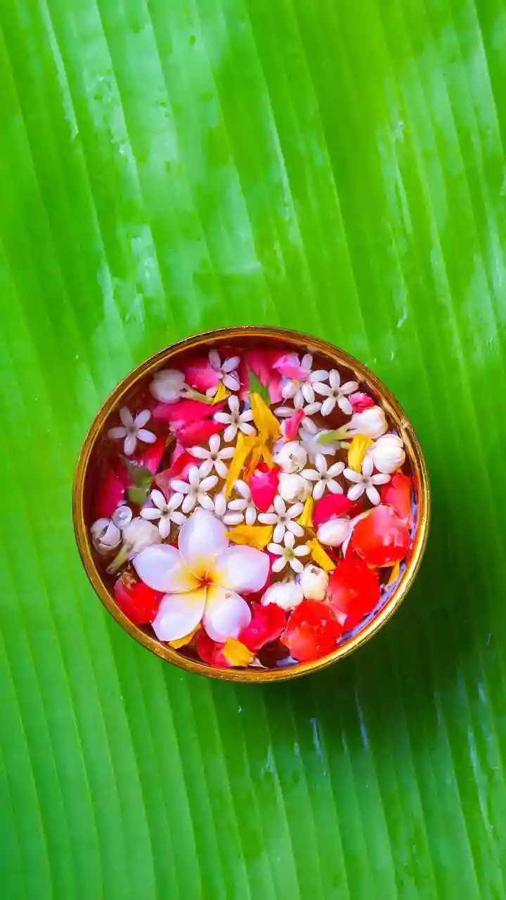 5 Vastu Flowers to Cultivate for Enhanced Luck and Financial Prosperity