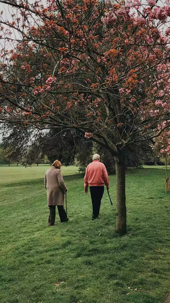 Daily Habits: Strength and Independence for Ageing Parents