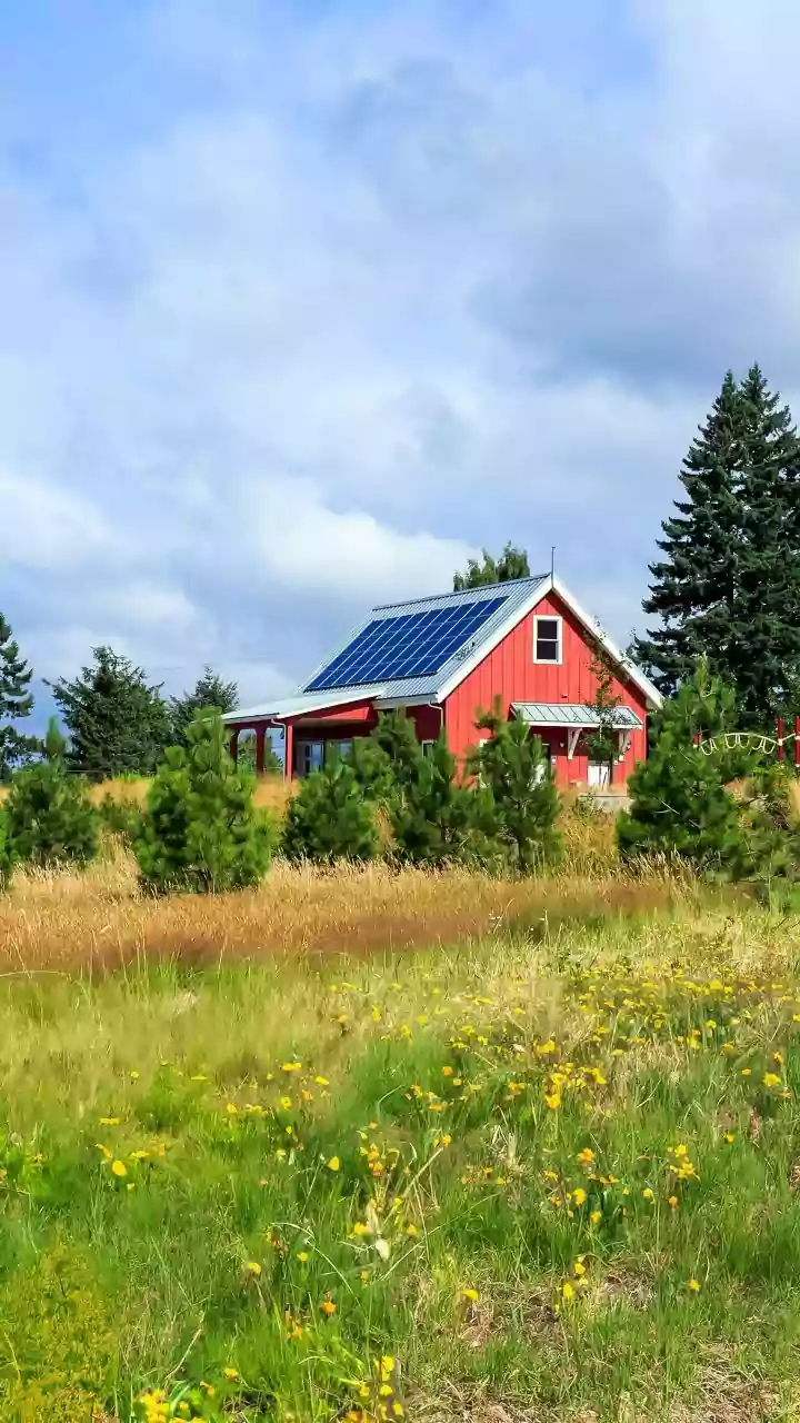 Off-Grid Micro-Pumps Drive Sustainable Agriculture Across Rural Maharashtra Villages