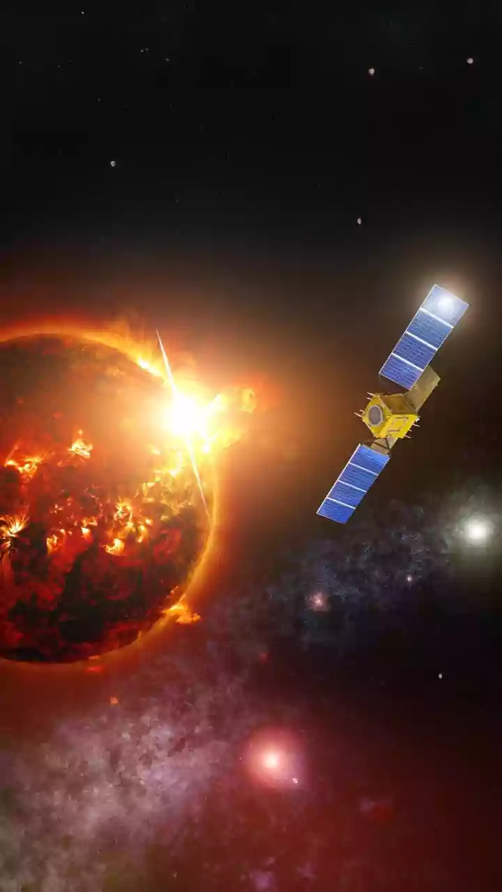 Unveiling Stellar Demises: Insights on Earth's Future