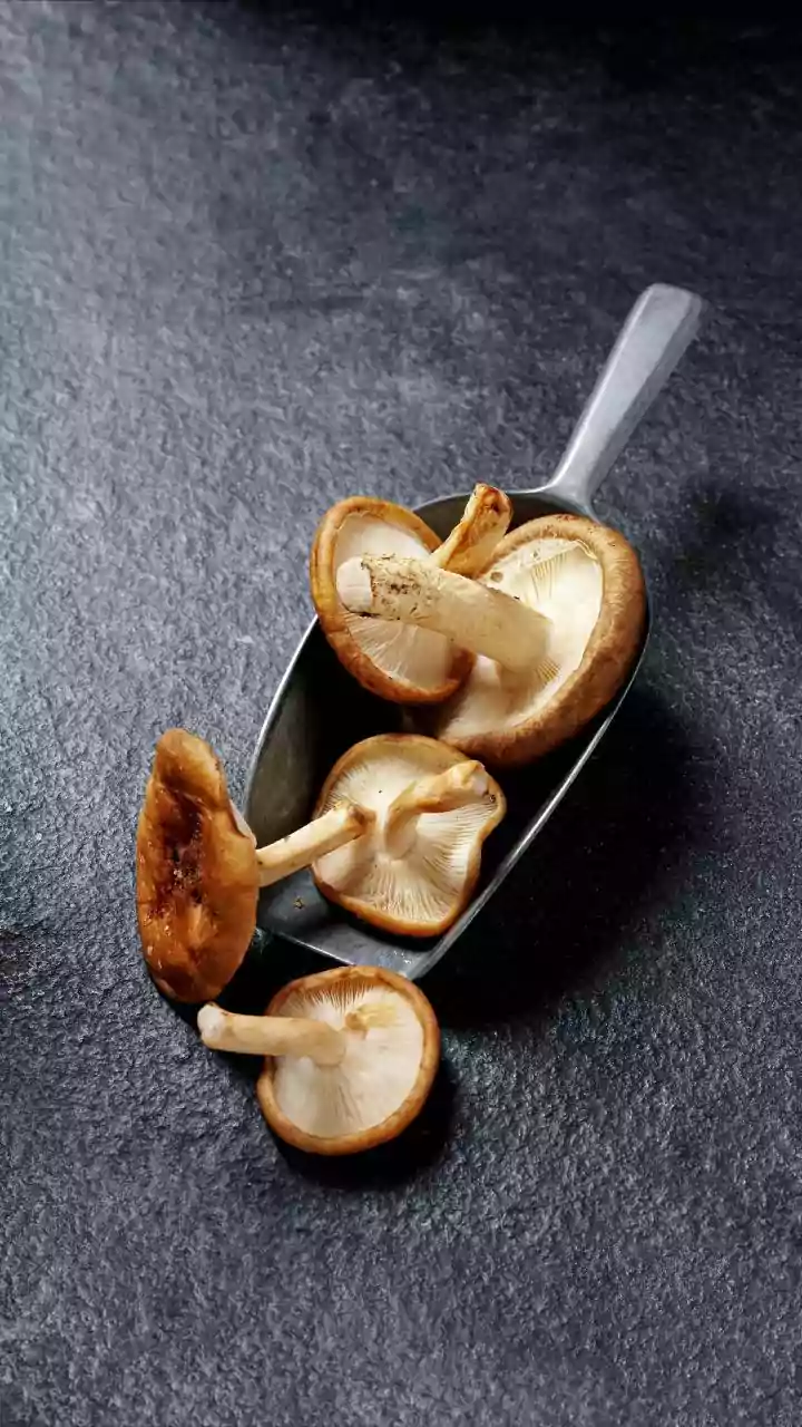 The Growing Appeal Of Mushrooms During Monsoon