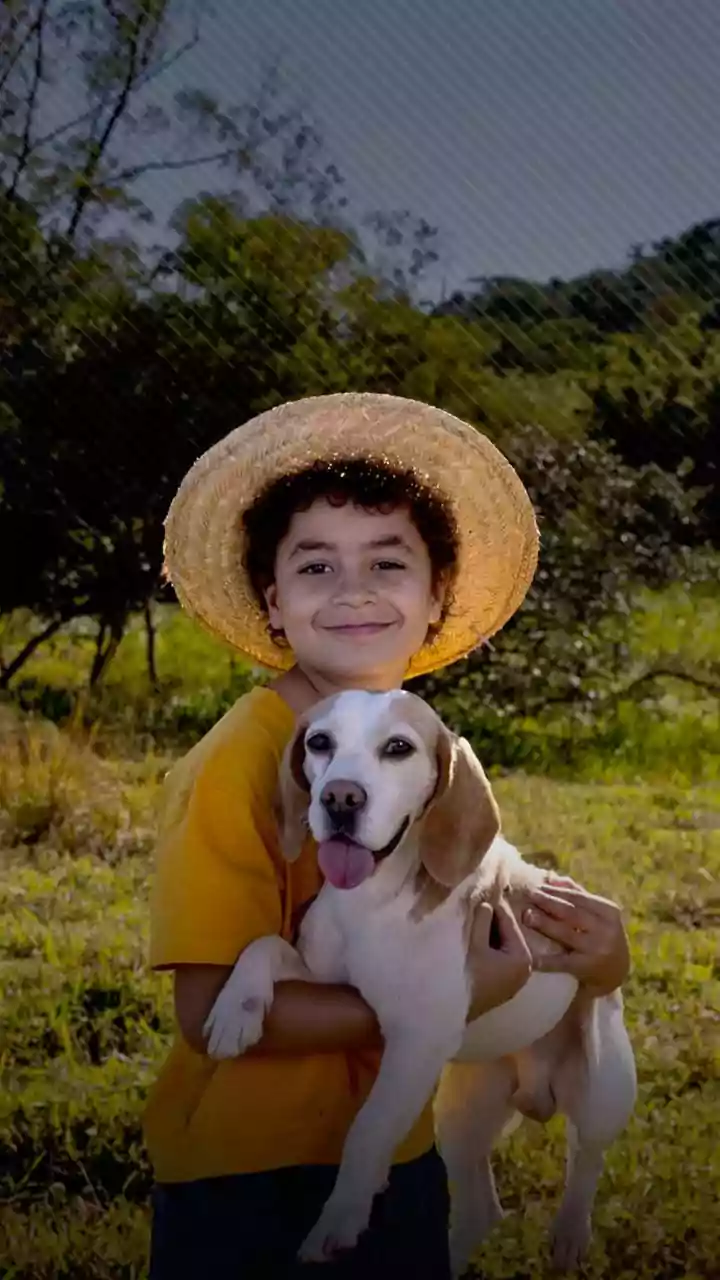 Indian Homes Are Going Pet First