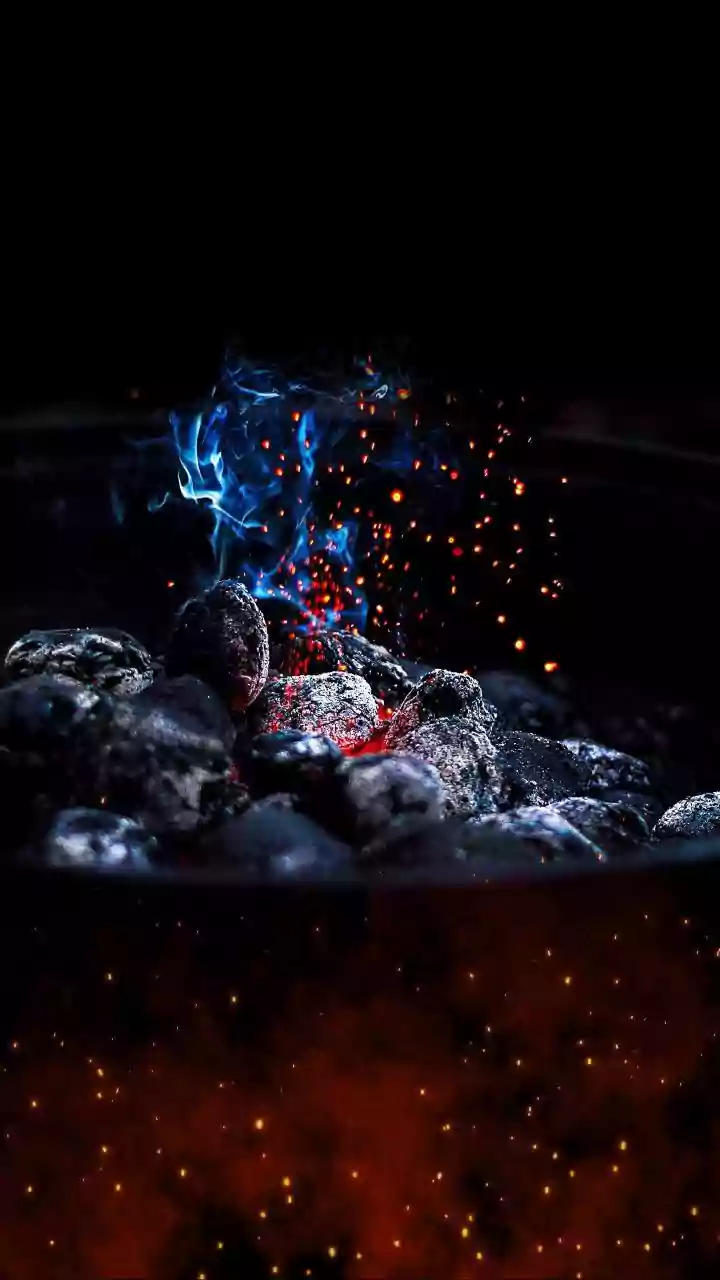 Neanderthals: Fire Pioneers of the Ancient World