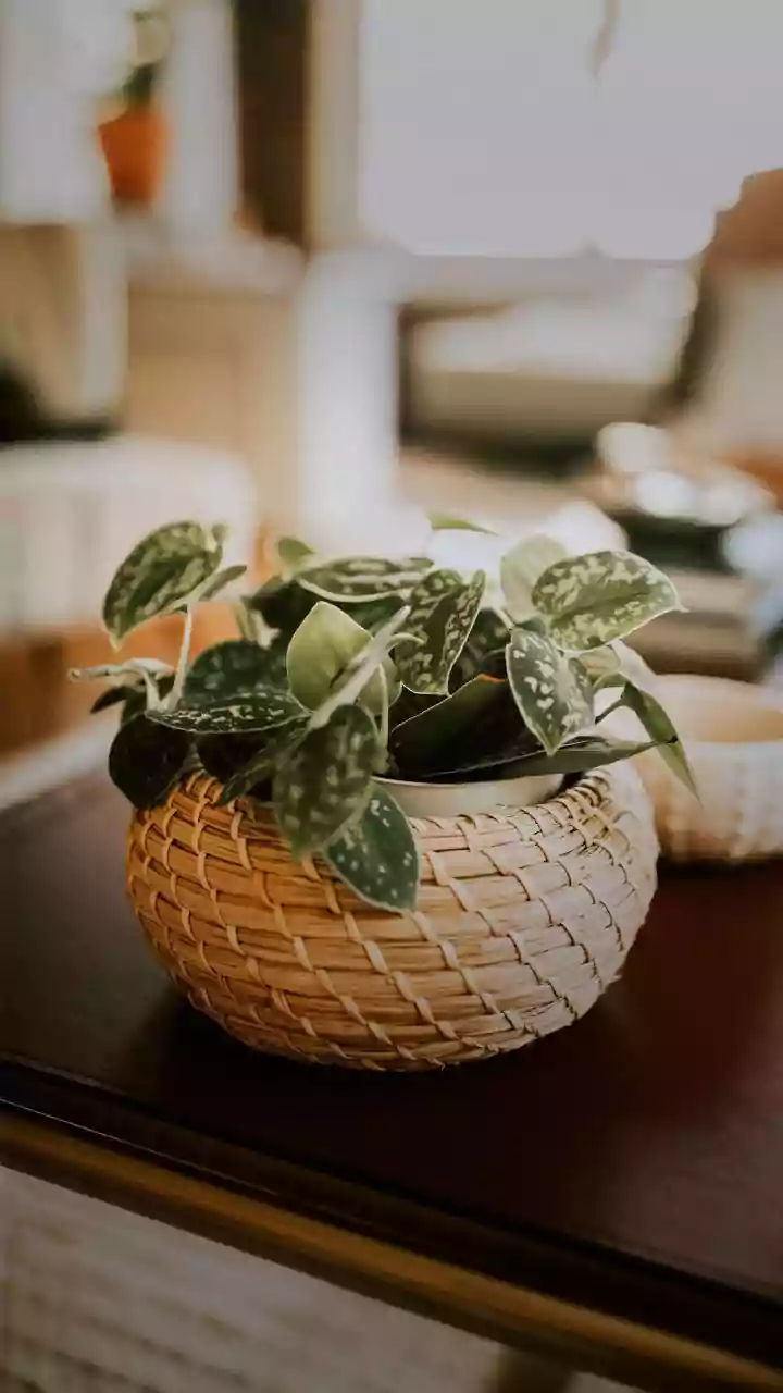 How Woven Baskets Serve As Budget-Friendly Decor Upgrades For Stylish Compact Apartment Spaces