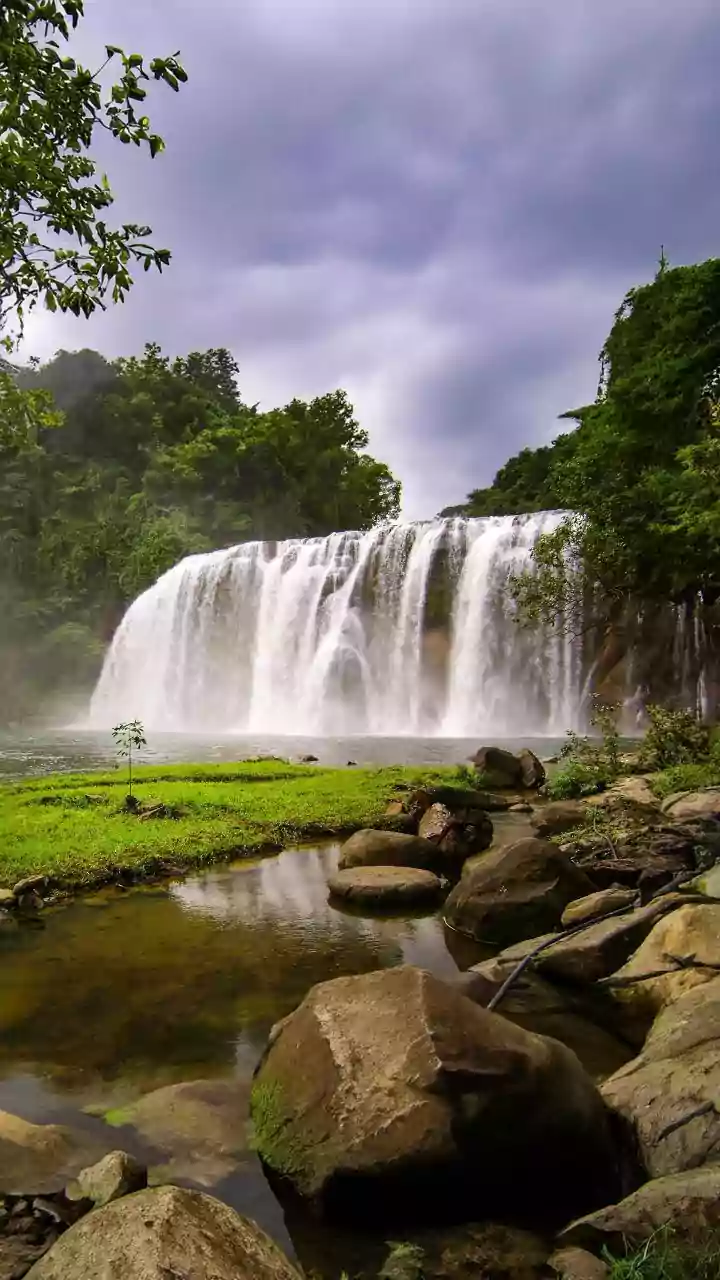 Athirapally Waterfall and Munnar Journey Highlights Kerala's Scenic Beauty