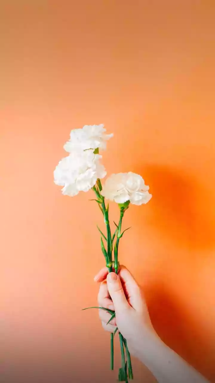 Virgo's Fortunate Week: February 8-14, 2026 - Business Booms & Love Blooms!