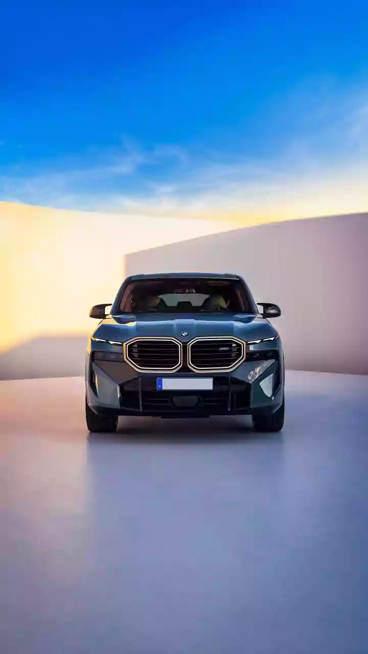 BMW pitches for retaining 5 pc GST on EVs