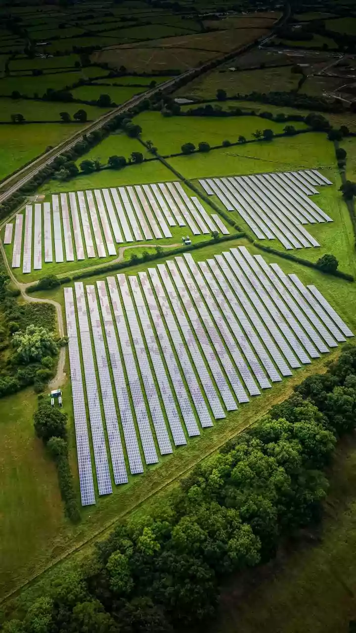Benefits of Solar Dryers for Agricultural Products in India