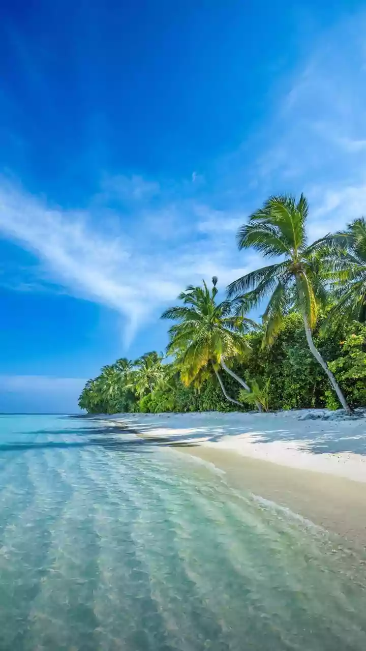 Sanjay Kapoor's Dreamy Vacation: A Glimpse into Island Bliss