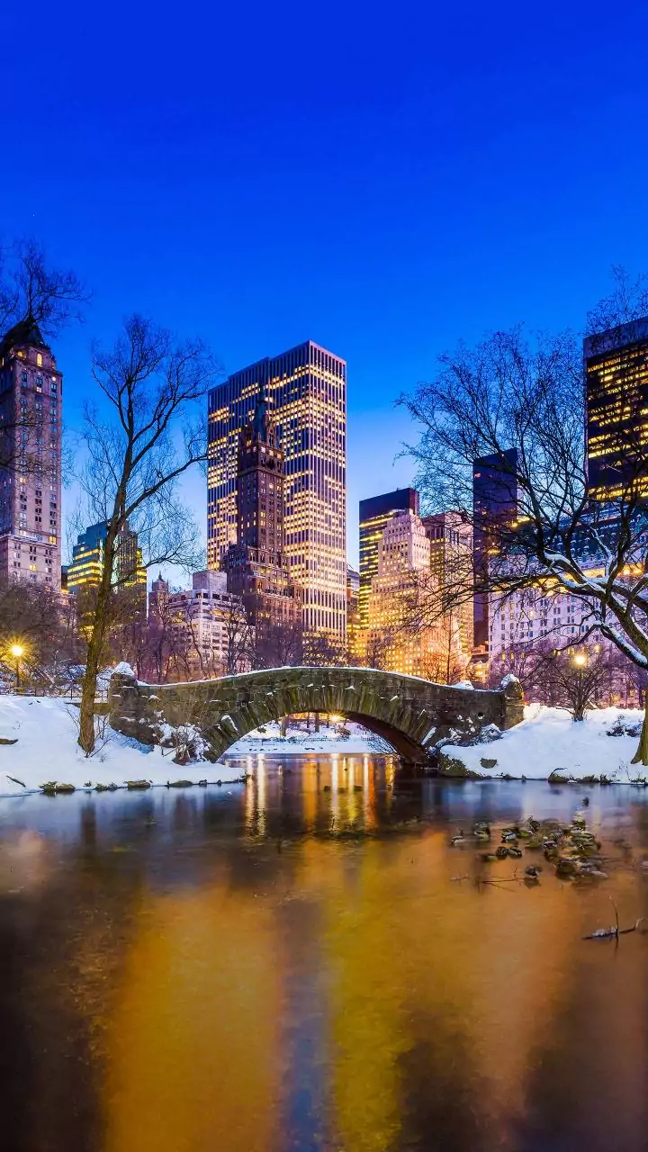 New York aims to phase out Central Park carriage rides