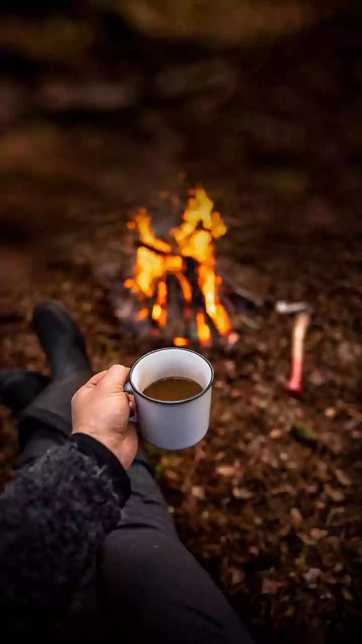 How Campfire Protocols Keep Wilderness Stays Safe During Cold Indian Winter Adventures