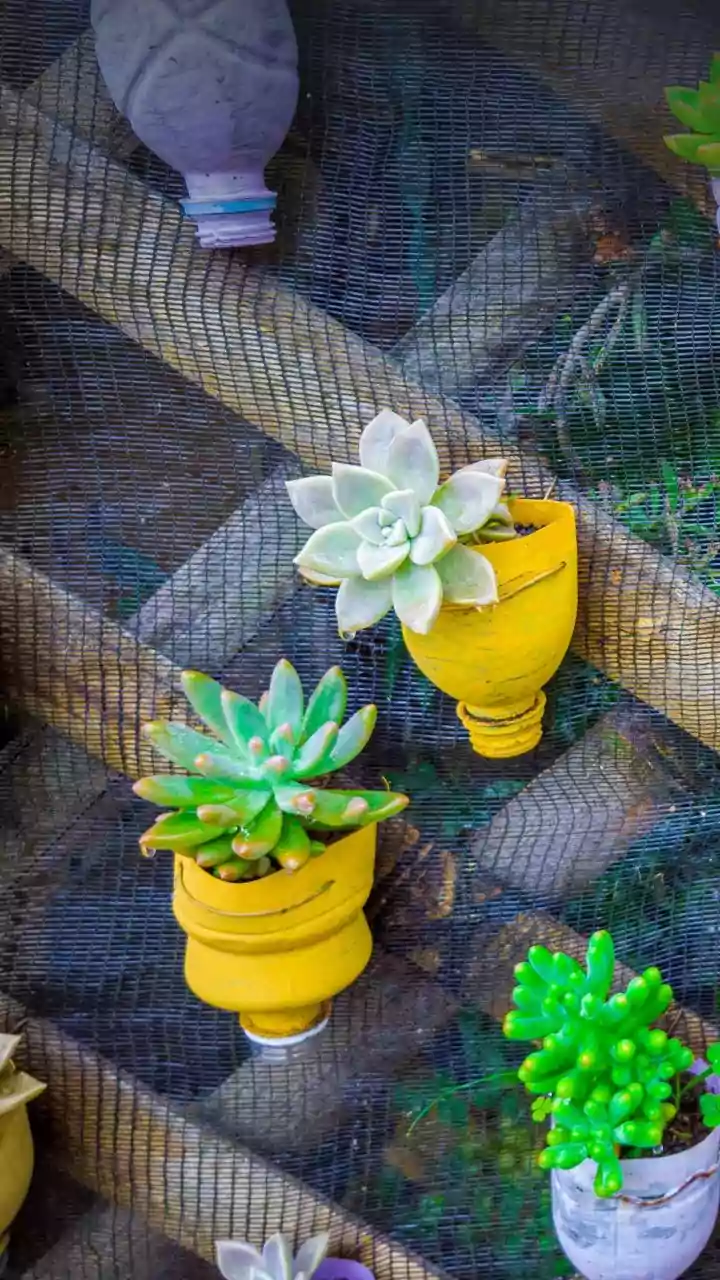 Beyond Blooms: 6 Ingenious Ways to Give Old Plastic Planters a New Life