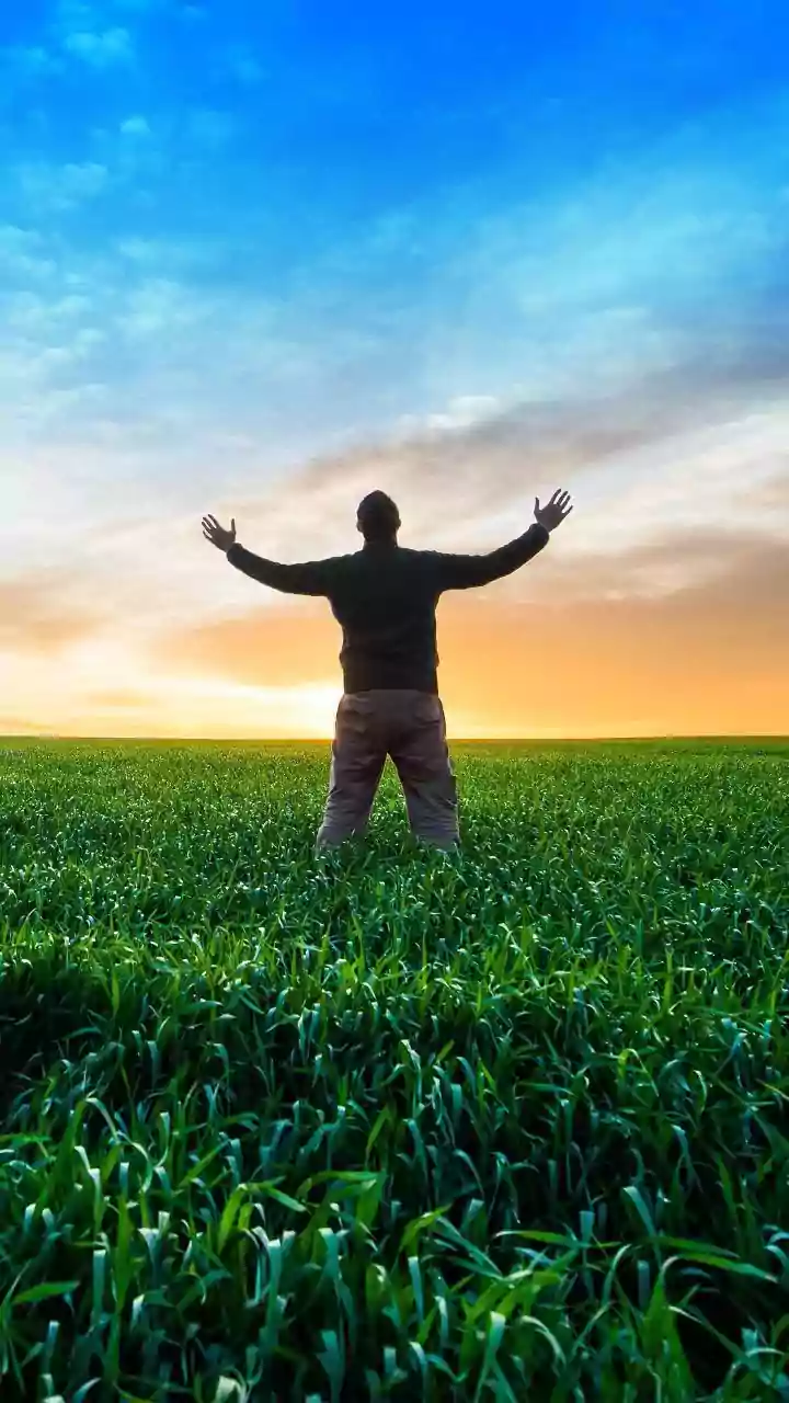 Unraveling Beliefs: Don Miguel Ruiz's Wisdom on Personal Truth and Growth