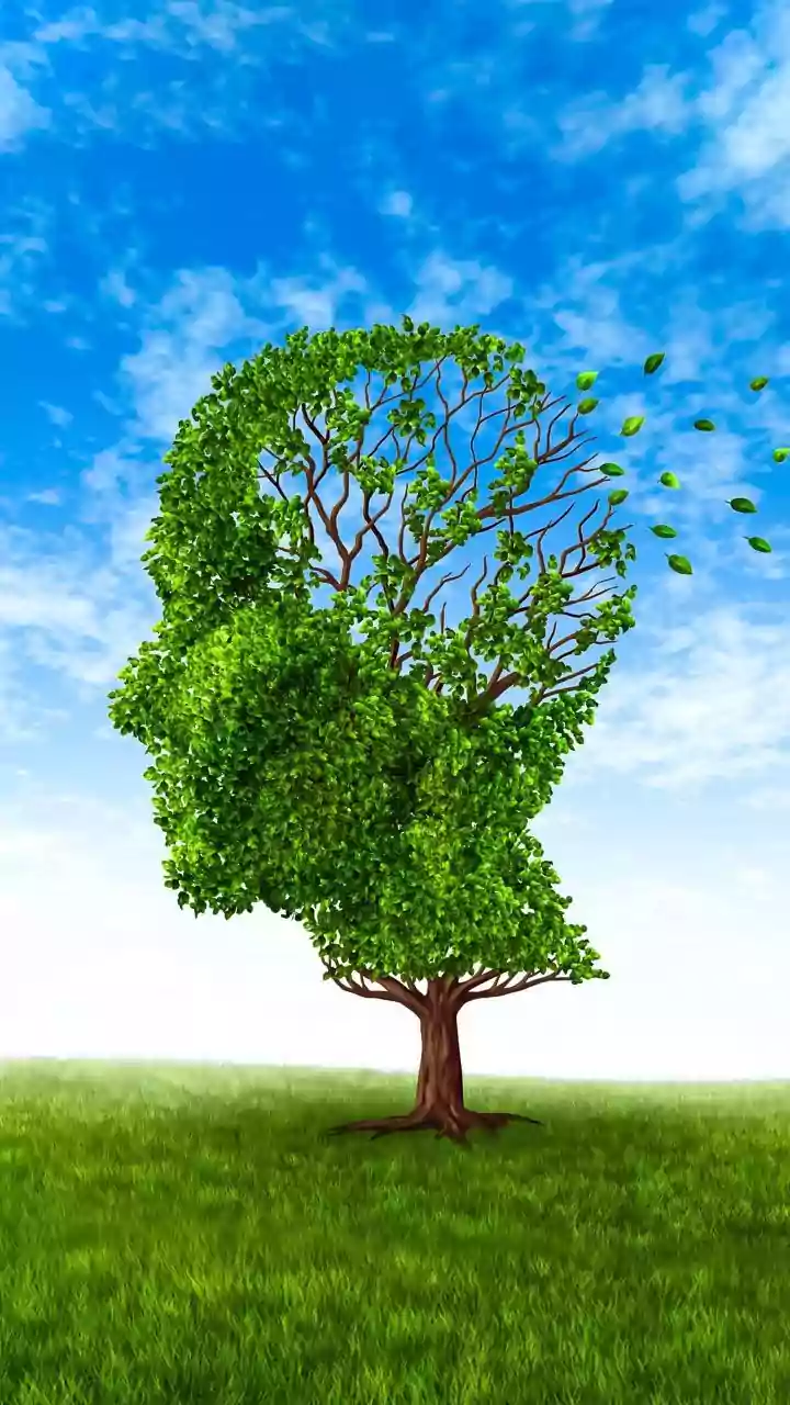 Chinese study suggests omega-3 may accelerate cognitive decline in genetically-at-risk-for-Alzheimer's
