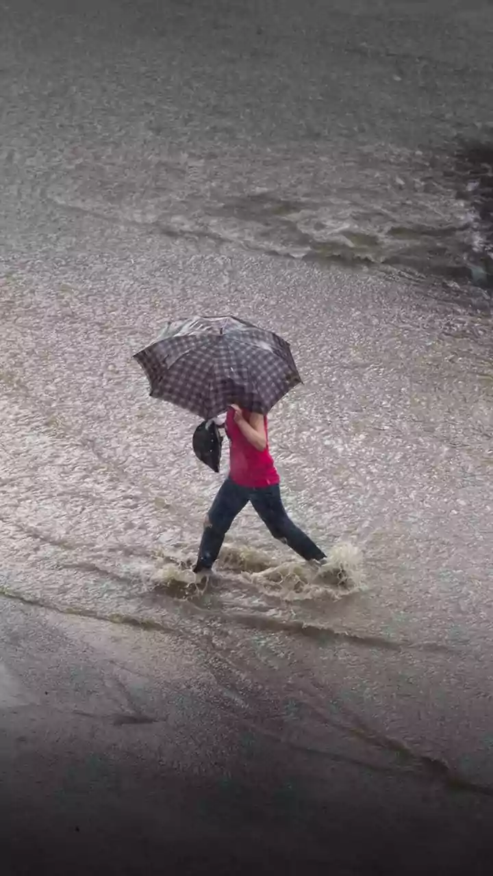 Monsoon just took over the entire south and east — Bihar and Odisha just joined the map