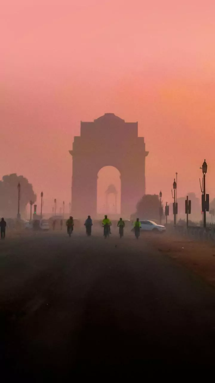 Delhi bans use of coal, firewood in tandoors; urban local bodies asked to strictly enforce directive