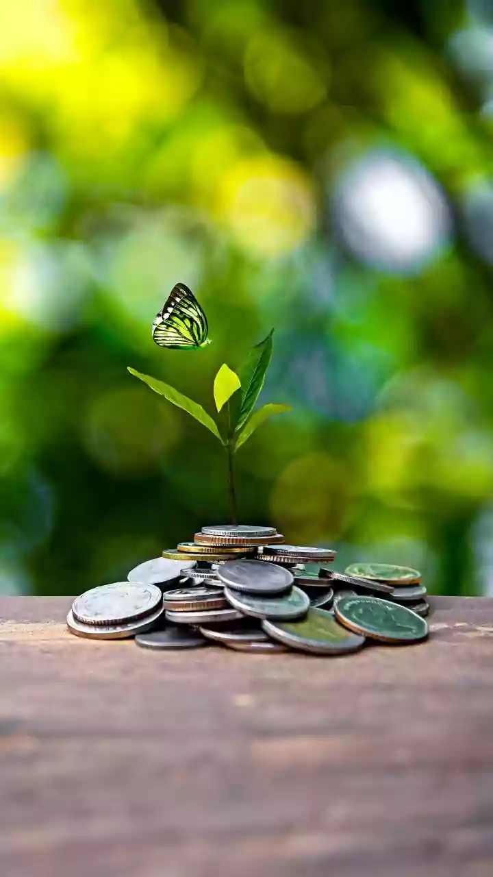 India should increase use of steel scrap for sustainable growth: Official