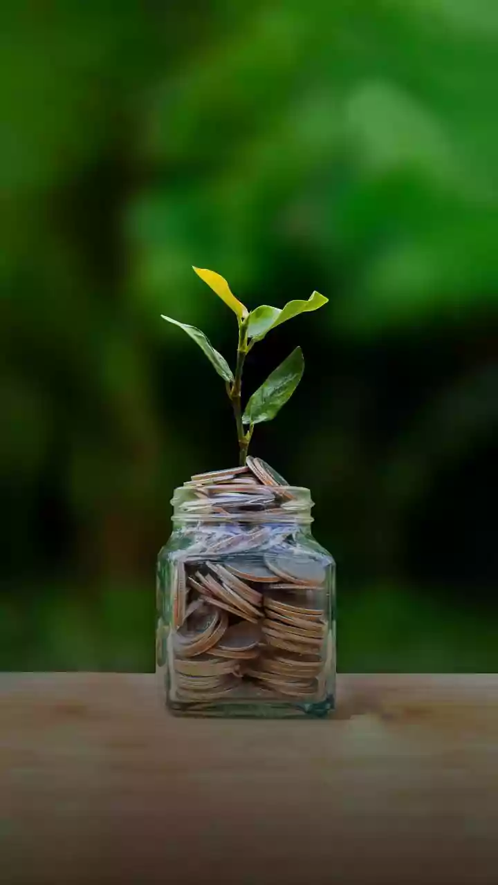 EXCLUSIVE | Will 2026 be a better year for mid, small caps? Punita Sinha of Pacific Paradigm Advisors weighs in