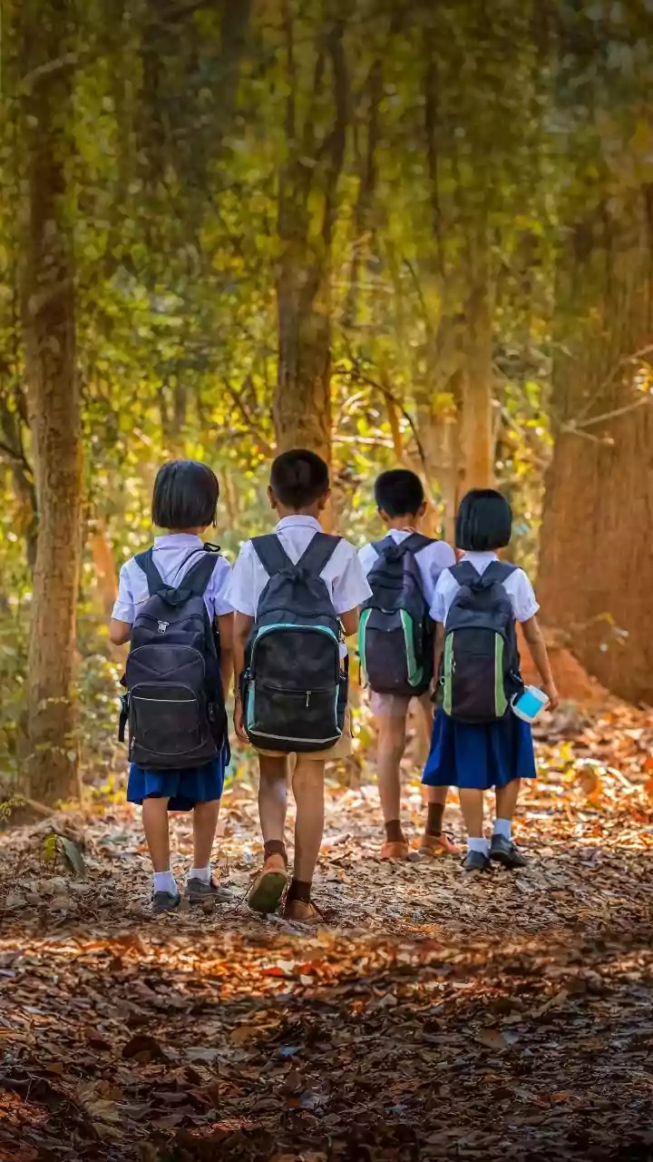 Noida Schools Closed: All schools up to Class 8 to remain closed till Jan 15 due to cold