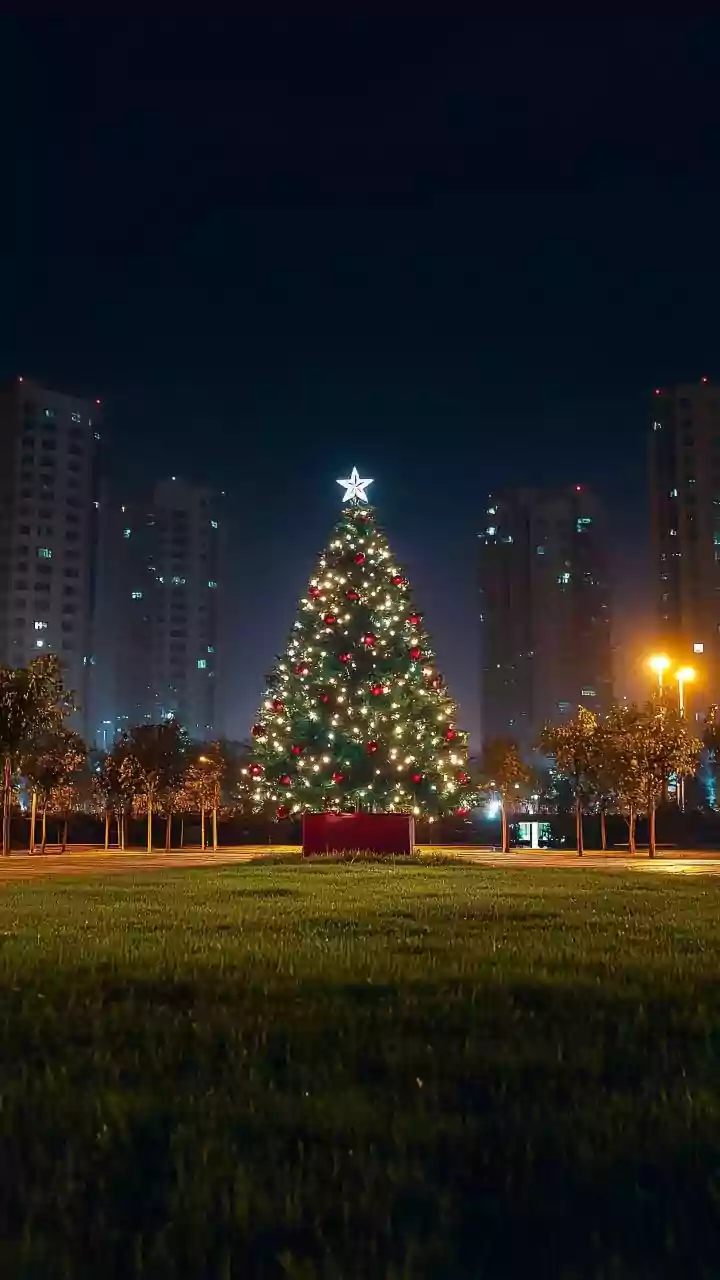 Gurugram Shimmers: Festive Lights Spread Christmas Cheer
