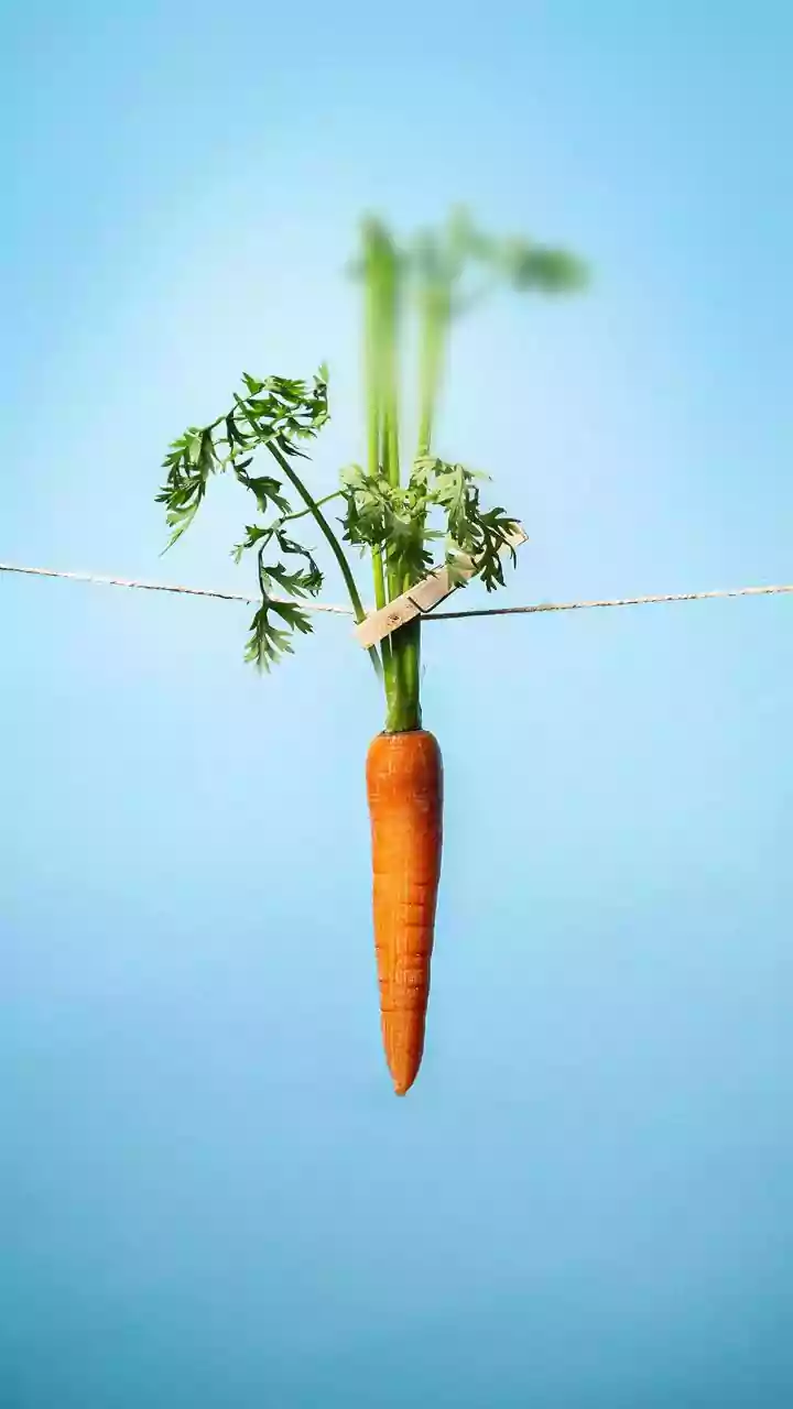 Secrets of Longevity: 10 Things Long-Livers Share