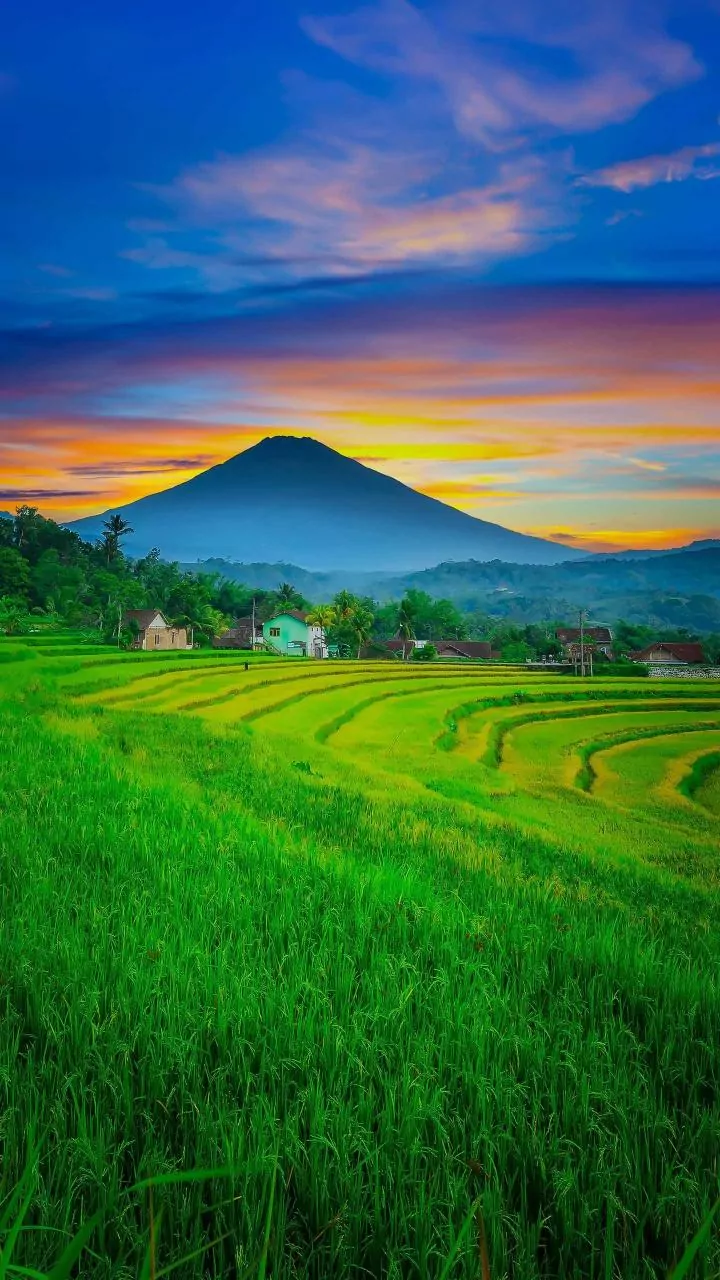 Why Ubud Culture And Mount Batur Sunrise Treks Offer Unforgettable Bali Adventures Beyond Beaches