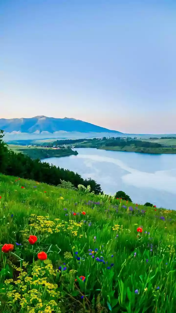 Capricorn's Auspicious Day: Stable Health, Uplifted Spirits, and Blooming Relationships on March 23, 2026