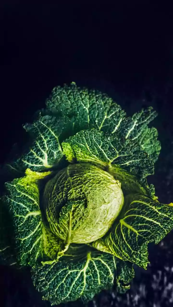 Say Goodbye to Cabbage Critters: Your Ultimate Guide to a Worm-Free Harvest