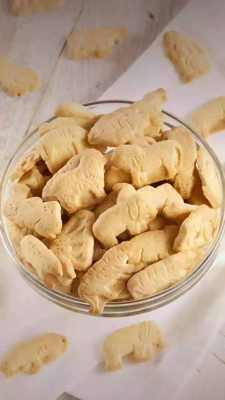 Organic Preservative Free Birthday Treats Drive Curated Pet Bakery Sales