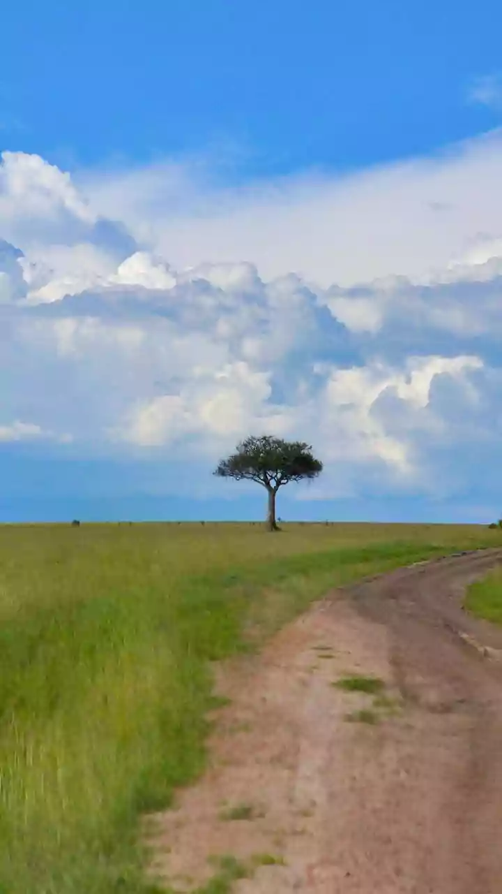 Uganda's best-kept secret: Kidepo Valley National Park