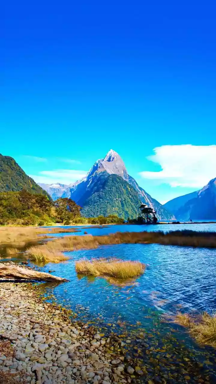 Visas, Work And Residency: What Makes New Zealand’s Visa System So Attractive To Indians