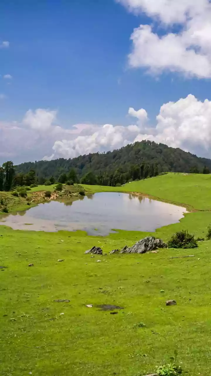 Workation Guide To Ziro Valley: Remote Stays Near Arunachal's Major Music Festival